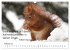 Der literarische Eichhörnchen-Kalender... - Bild 8