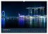Singapur bei Nacht und Tag... - Bild 14