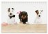 Die Dackel daggeln.... (Tischkalender... - Bild 8