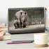 WILDE TIERE IN AKTION (Tischkalender... - Bild 2