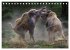 WILDE TIERE IN AKTION (Tischkalender... - Bild 13