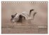 WILDE TIERE IN AKTION (Tischkalender... - Bild 15