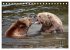 WILDE TIERE IN AKTION (Tischkalender... - Bild 3