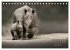 WILDE TIERE IN AKTION (Tischkalender... - Bild 5