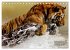 WILDE TIERE IN AKTION (Tischkalender... - Bild 8