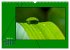 Heilende Farbe Grün (Wandkalender 2026... - Bild 10