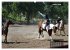 Faszination Rodeo (hochwertiger Premium... - Bild 13