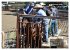 Faszination Rodeo (hochwertiger Premium... - Bild 14