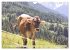 Alpenrinder (Wandkalender 2026 DIN A4... - Bild 3