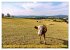 Faszination Oberpfalz (Wandkalender... - Bild 15