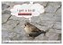 Sag es doch DENGLISCH (Wandkalender... - Bild 3