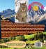 How We Discovered The Missing Lynx - Bild 2