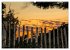 Amrum Insel am Wattenmeer (Wandkalender... - Bild 3