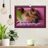 Kelly, der Irish Terrier - innen und... - Bild 2