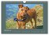 Kelly, der Irish Terrier - innen und... - Bild 15