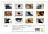 Rabenhafte Augenblicke (Wandkalender... - Bild 6