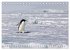 Antarktis, die eisige Heimat der... - Bild 8