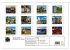Europastadt Breisach am Rhein... - Bild 6