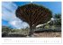 La Gomera - Die grüne Perle der... - Bild 7