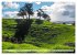 Wandkalender Auckland 2026 DIN A4 Quer... - Bild 11