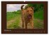 Kelly, der Irish Terrier - innen und... - Bild 4