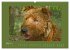 Kelly, der Irish Terrier - innen und... - Bild 10