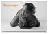 Erotik Fotoart Klassische Aktfotografie... - Bild 5