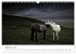Islandpferde take it Isi (Wandkalender... - Bild 15