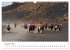 Islandpferde take it Isi (Wandkalender... - Bild 4