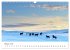 Islandpferde take it Isi (Wandkalender... - Bild 8