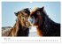 Islandpferde take it Isi (Wandkalender... - Bild 10