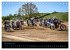 MX Racing 2026 (Tischkalender 2026 DIN... - Bild 4