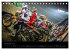 MX Racing 2026 (Tischkalender 2026 DIN... - Bild 5