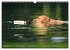 Labradore im Wasser (Wandkalender 2026... - Bild 14