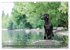 Labradore im Wasser (Wandkalender 2026... - Bild 8