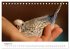 Wellensittiche - der NEUE Kalender... - Bild 14