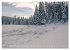 Schneeliebe (Wandkalender 2026 DIN A4... - Bild 14
