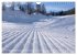 Schneeliebe (Wandkalender 2026 DIN A4... - Bild 10