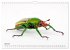 WIRBELLOS (Wandkalender 2026 DIN A4... - Bild 13