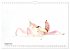 WIRBELLOS (Wandkalender 2026 DIN A4... - Bild 14