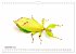 WIRBELLOS (Wandkalender 2026 DIN A4... - Bild 5