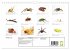 WIRBELLOS (Wandkalender 2026 DIN A4... - Bild 6