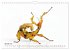 WIRBELLOS (Wandkalender 2026 DIN A4... - Bild 7
