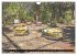 Chernobyl/Prypjat 2026 (Wandkalender... - Bild 4