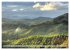 Sri Lanka - Tempel, Tee und Elefanten... - Bild 14