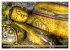 Sri Lanka - Tempel, Tee und Elefanten... - Bild 4