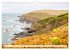 Cornwall Impressionen (Wandkalender... - Bild 9