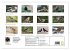 Heimische Gartenvögel - Gefiederte... - Bild 5