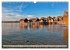 Bodensee -