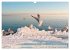 Bodensee -